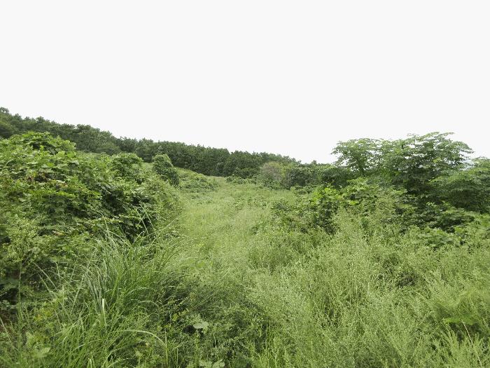 경남 거제시 사등면 창호리 368-3 전 사진 3